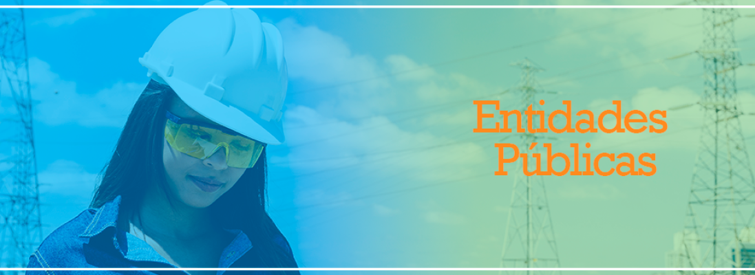 entidades Publicas